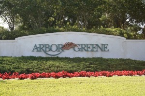 Arbor Greene New Tampa Homes For Sale