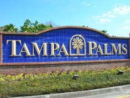 Tampa Palms New Tampa Homes For Sale
