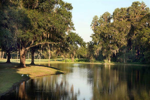 pebble creek new tampa homes for sale
