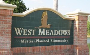 West Meadows New Tampa Homes For Sale