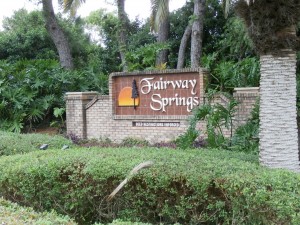 Homes For Sale In Fairway Springs, New Port Richey