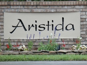 Homes For Sale In Aristida, New Port Richey